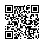 M80-4611405 QRCode