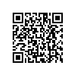 MCS04020D6042DE000 QRCode