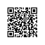 MKP383510063JKM2T0 QRCode