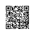 MKP385456160JPM2T0 QRCode