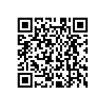 MKP385462063JKP2T0 QRCode