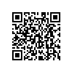 MKP385491063JKM2T0 QRCode