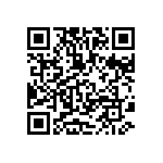 MKP385510063JKP2T0 QRCode