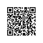 MKP385533063JPM2T0 QRCode