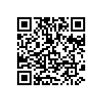 MKP385582063JPP2T0 QRCode