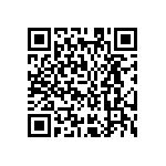 MKP386M456250YT8 QRCode