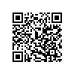 MP22T1-C24-3070-T2-2-00 QRCode