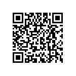 MP22T1-C24-5080-T2-1-00 QRCode