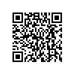 MP4-2D-1G-1G-4NN-00 QRCode