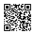 MP4-2V-2V-03 QRCode