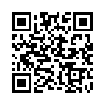 MS27466T13B35H QRCode