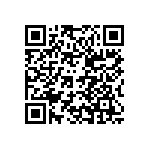 MS27467T11B99HB QRCode