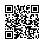 MS27467T11F13S QRCode