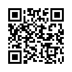 MS27467T25B61B QRCode