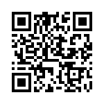 NG80386DX33 QRCode