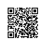 NRS5030T2R2NMGJ QRCode