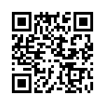 OSTT4132450 QRCode