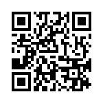 P0300EALAP QRCode