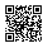 P0399NLT QRCode