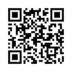 P100-000 QRCode