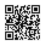 P2022YZ QRCode