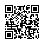 P295BL332M500A QRCode
