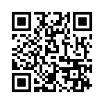 P38291E QRCode