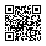 P4-38RHT6-E QRCode