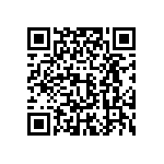 P40P47D13P1-24-01 QRCode