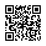 P4KE11-B QRCode