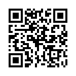 P4KE110A-B QRCode