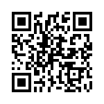 P4KE11C QRCode