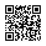 P4KE13-B QRCode