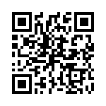 P4KE13C QRCode