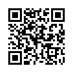 P4KE200A-B QRCode