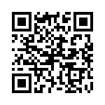 P4KE22-B QRCode