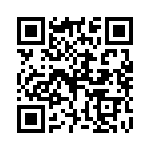 P4KE220A QRCode