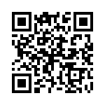 P4KE24CA-E3-54 QRCode