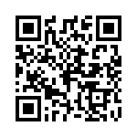 P4KE250-B QRCode