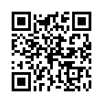 P4KE300-E3-54 QRCode