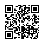 P4KE300C QRCode