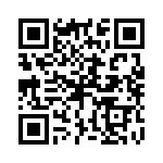 P4KE33-B QRCode