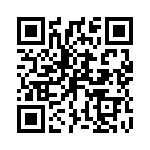 P4KE33C QRCode