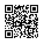 P4KE36-B QRCode