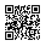 P4KE39A-B0G QRCode