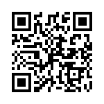 P4KE43A-B QRCode
