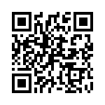 P4KE43A QRCode