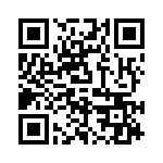 P4KE500A QRCode