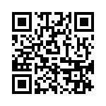 P4KE510A-B QRCode