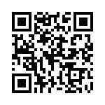 P4KE510C-B QRCode